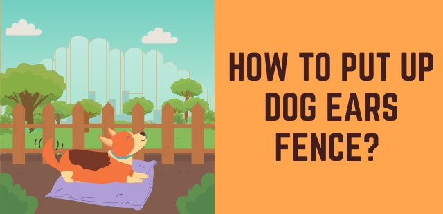 Feature Image - How to Put up Dog Ears Fence