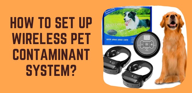 feature image - How to Set up Wireless Pet Contaminant System