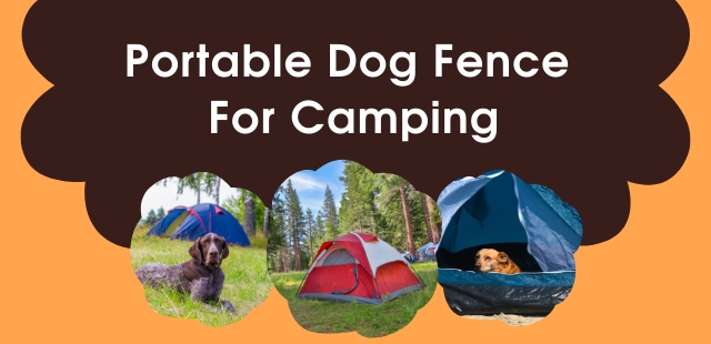 Feature Image - Portable Dog Fence For Camping