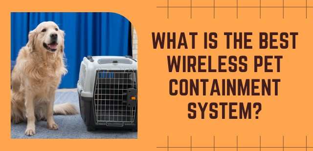 Feature Image of What is the Best Wireless Pet Containment System - DogsAlliance