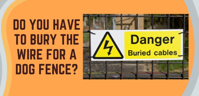 Do you have to bury the wire for a dog fence - Dogs Alliance