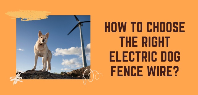 Feature image of How To Choose the Right Electric Dog Fence Wire - Dogs Alliance