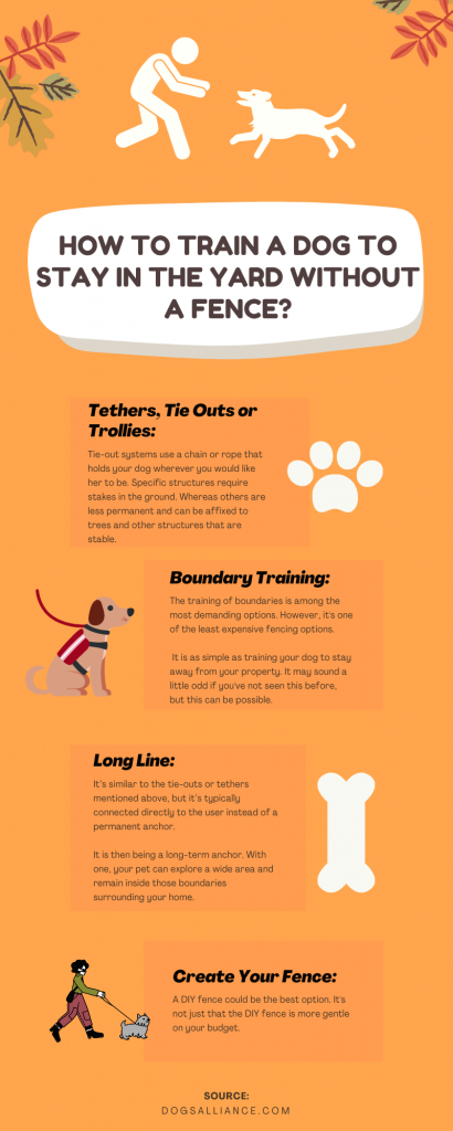 Infographic - Top 4 Steps – How to train a dog to stay in the yard without a fence - Dogs Alliance 