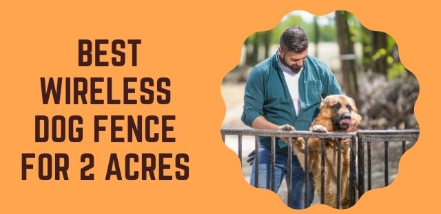 Feature image - Best Wireless Dog Fence for 2 Acres