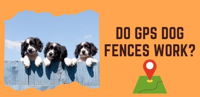 Feature image - Do gps dog fences work