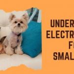 Feature image of Underground Electric Fence for Small Dogs