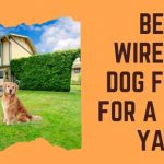 Best Wireless Dog Fence for a Large Yard - Dogs Alliance