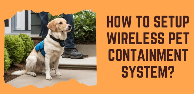 Feature image How to Setup Wireless Pet Containment System